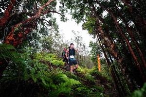 BIB: 
                            <button type="button" onclick="openModal(26202465)" class="btn btn-primary btn-sm float-right btn-popup" data-toggle="modal" data-target=".modal-high-quality">
                        <i class="fas fa-shopping-cart"></i> Add to Cart
                    </button>
                                            <button type="button" onclick="isThisMe(26202465, true)" class="btn btn-success btn-sm float-right btn-popup btn-isme hidden" data-toggle="tooltip" data-placement="bottom" title="นี่คือรูปของคุณใช่ไหม คลิกที่นี่เพื่อเอาเข้าอัลบั้ม">
                        <i class="fas fa-plus"></i> Add to album
                    </button>
                    <button type="button" onclick="isThisMe(26202465, false)" class="btn btn-warning btn-sm float-right btn-popup btn-isnotme hidden">
                        <i class="fas fa-ban"></i> Remove from album
                    </button>